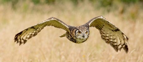 Photo by Larry James Photography Workshop
