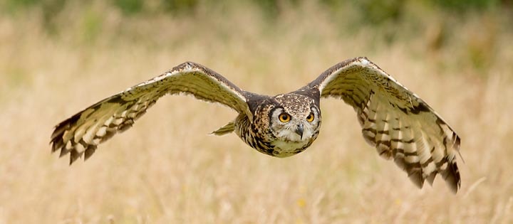 Photo by Larry James Photography Workshop