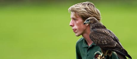 Photo by Garry Funnell Buzzard