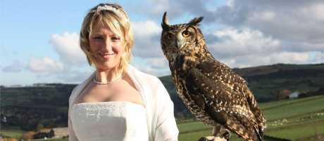 Owl Wedding